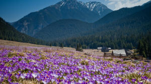 Hotel Redyk - صورة 26